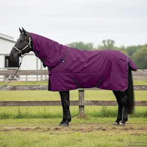 Deka pro koně Tmavě zelená a černá 95 cm Polyester - obrázek 1