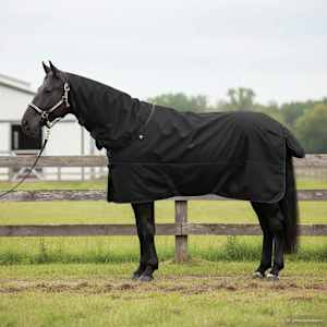 Deka pro koně Tmavě zelená a černá 115 cm Polyester - obrázek 1