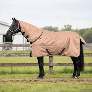 Deka pro koně Cappuccino 165 cm Polyester - obrázek 1