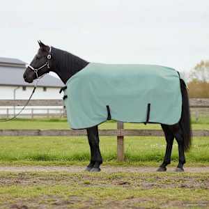 Konjski plašč Posebna zelena Poliester