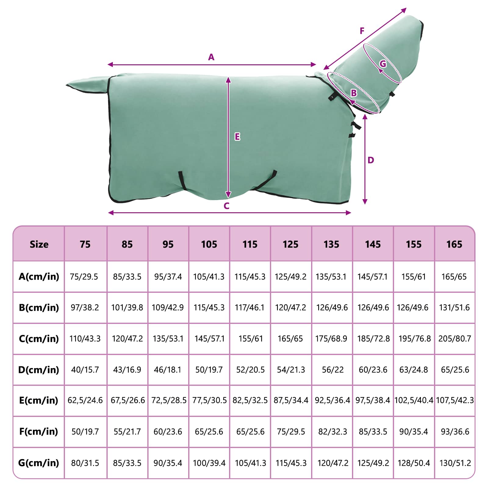 Konjski plašč Posebna zelena Poliester - slika 9