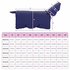 Deka pro koně Námořnická modrá 75 cm Polyester - obrázek 8