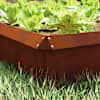 Toote pisipilt  3 / 12