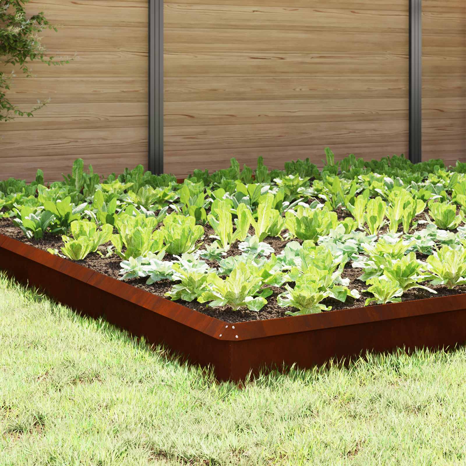 Ograje proti polžem 20 pcs Rjav Vremensko odporno jeklo