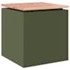 Olive_green