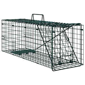 Zamka za živali Zelena 61 x 20 x 21,5 cm Jeklo