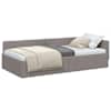 Taupe