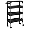 Black_oak