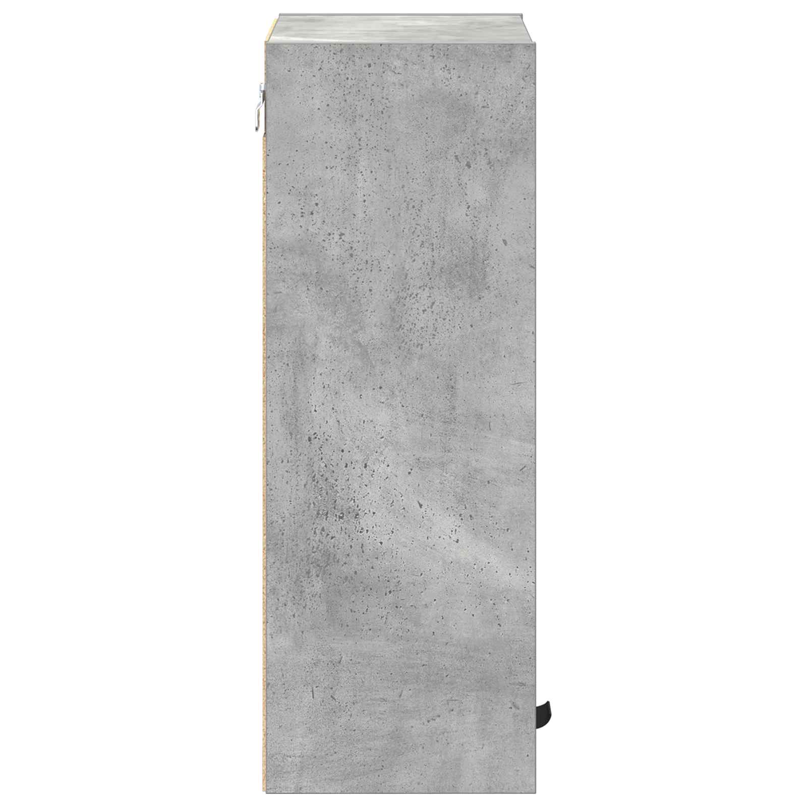 Kopalniška omarica z vrati Betonsko siva 39 x 23,5 x 65 cm - slika 7