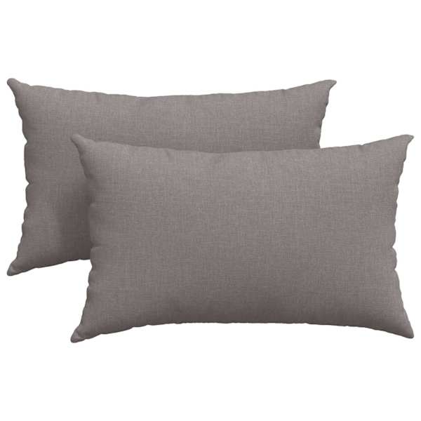 vidaXL Diivanipadjad 2 tk kangas Pruunikashall 50 x 30 cm