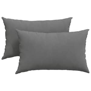 vidaXL Diivanipadjad 2 tk kangas Tumehall 50 x 30 cm
