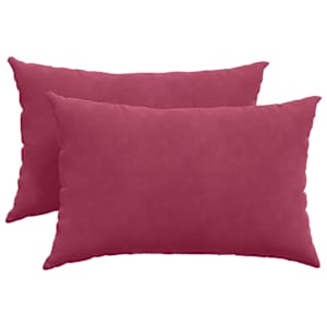 vidaXL Diivanipadjad 2 pcs Veinpunane 60 x 40 cm Korter kangas