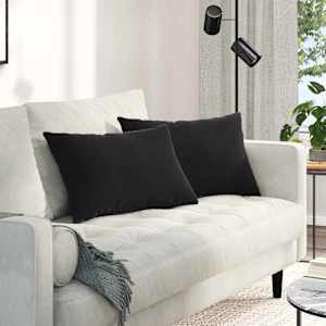 Blazine za kavč 2 pcs Črna 60 x 40 cm Žametna tkanina