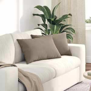 Pohovkové polštáře 2 pcs Taupe 60 x 40 cm textil - obrázek 1