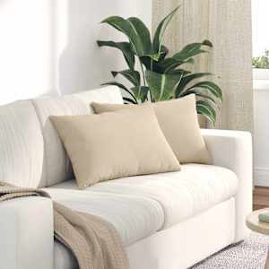 Pohovkové polštáře 2 pcs Krémová 60 x 40 cm textil - obrázek 1