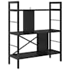 Black_oak