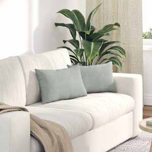 Blazine za kavč 2 pcs Svetlo siva 50 x 30 cm Žametna tkanina