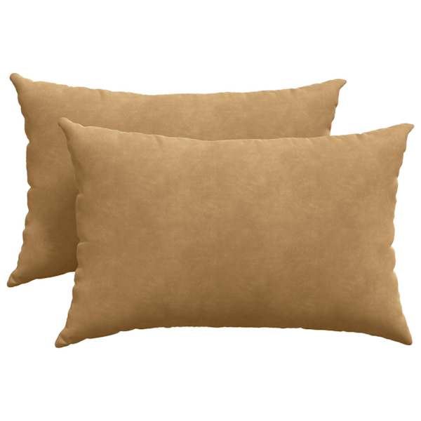 vidaXL Diivanipadjad 2 pcs Pruun 60 x 40 cm Korter kangas