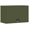 Olive_green