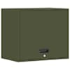 Olive_green