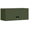 Olive_green