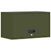 Olive_green