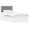 White_and_light_grey