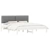 White_and_light_grey