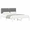 White_and_light_grey