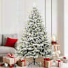 Toote pisipilt  2 / 12
