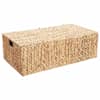vidaXL Salvestuskarp Neutraalne 60 x 38 x 20 cm Vesih&uuml;atsint