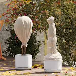 Fleece za zaščito rastlin pred zmrzaljo Bež 20 x 1,6 m