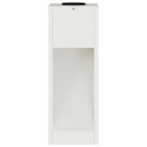 Solární LED osvětlení cesty 2 pcs Bílá Studeně válcovaná ocel - obrázek 6