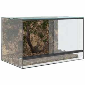 Terárium s úložištěm Transparentní 50 x 30 x 30 cm Sklo - obrázek 3