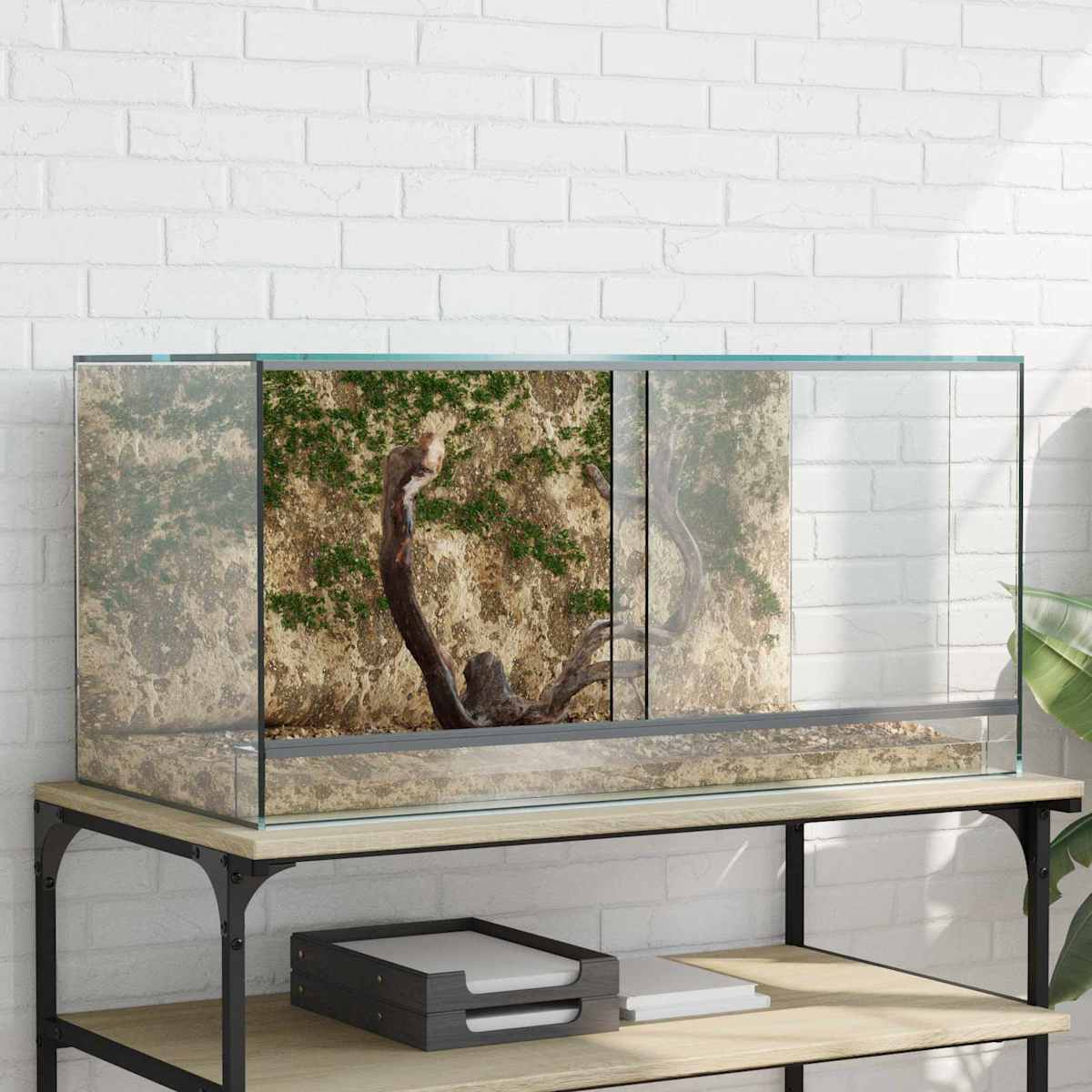 Terrarium med opbevaring Transparent Glas