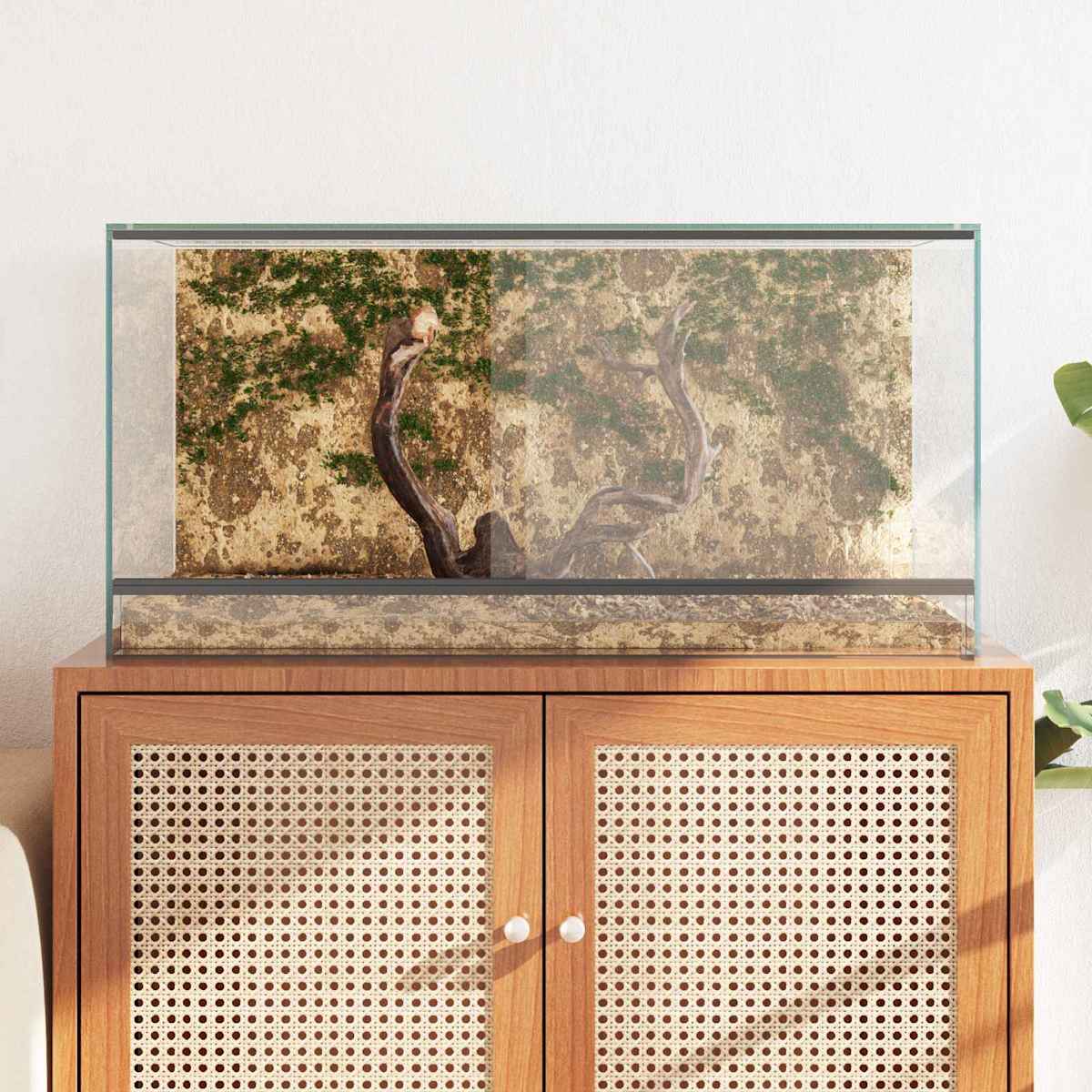 Terrarium med opbevaring Transparent Glas - Billede 4
