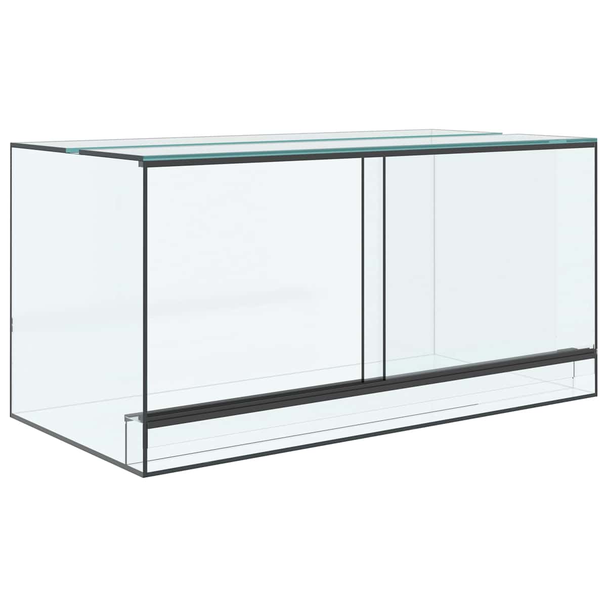Terrarium med opbevaring Transparent Glas - Billede 2