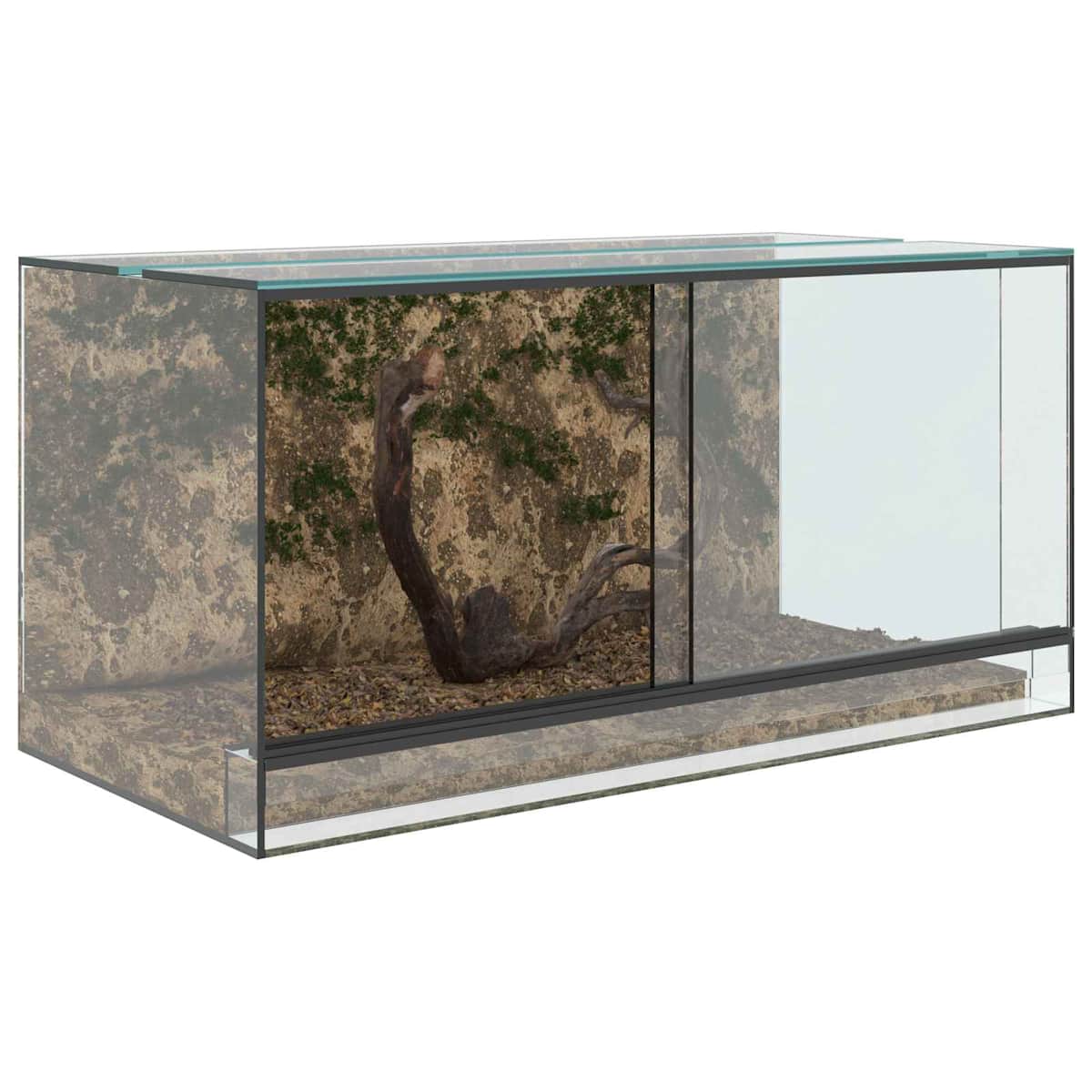 Terrarium med opbevaring Transparent Glas - Billede 3