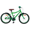 vidaXL Laste Bike 20 Tolli vanuses 6-11 aastat Roheline