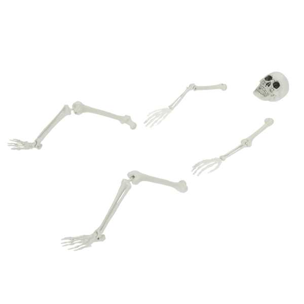 vidaXL Halloween Skelett koos Maastep&ouml;&ouml;ristega Valge 45,5 x 13 cm