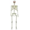 vidaXL Halloweeni Skeleton Valge 155 x 38,5 cm Pol&uuml;prop&uuml;leen