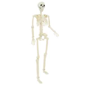 Halloweenský kostlivec 2 pcs Bílá 85 cm PVC - obrázek 4