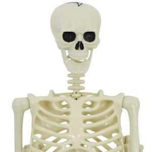 Halloweenová dekorace -kostra 2 pcs Bílá Polypropylen - obrázek 5