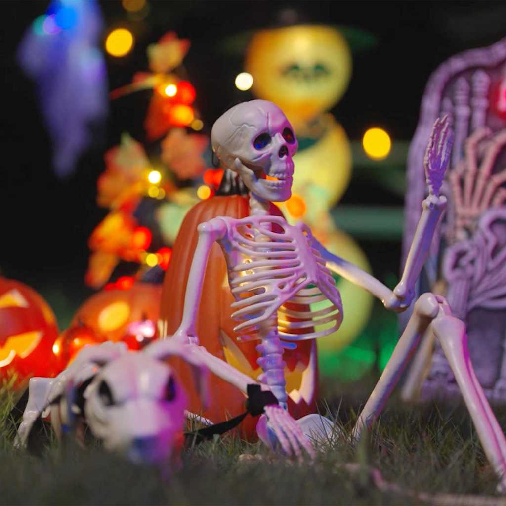 vidaXL Decorațiune de Halloween: schelet cu câine 2 pcs Alb 155 cm