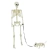 vidaXL Halloweeni kaunistus -skelet 2 tk Valge 155 x 38.5 cm
