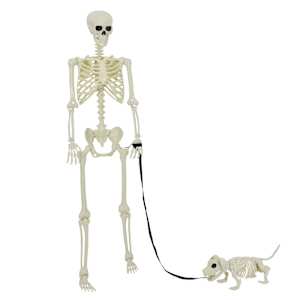 vidaXL Halloweeni kaunistus -skelet 2 tk Valge 155 x 38.5 cm