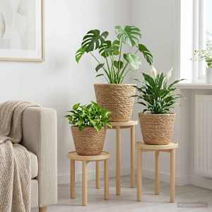 3 kos Naravna Ø26 x 19 cm 100% morska trava