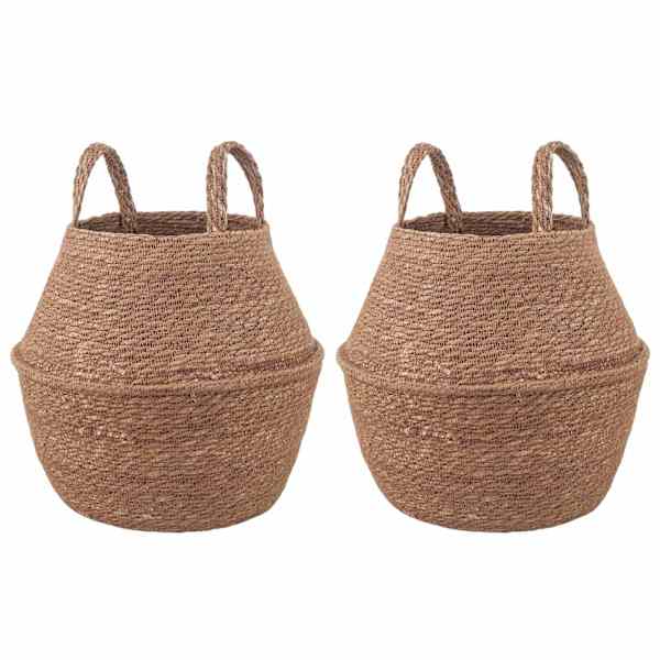 vidaXL K&auml;siga taimepott 2 tk Naturaalne &Oslash; 22 x 20 cm 100% Mererohi