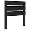 Black_oak