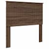 Brown_oak